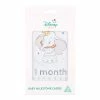 Disney Baby Dumbo Milestone Cards -Baby Jogger shop 22007644 1 29885.1664940523